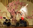 朝鲜残疾人表演歌舞 纪念国际残疾人日