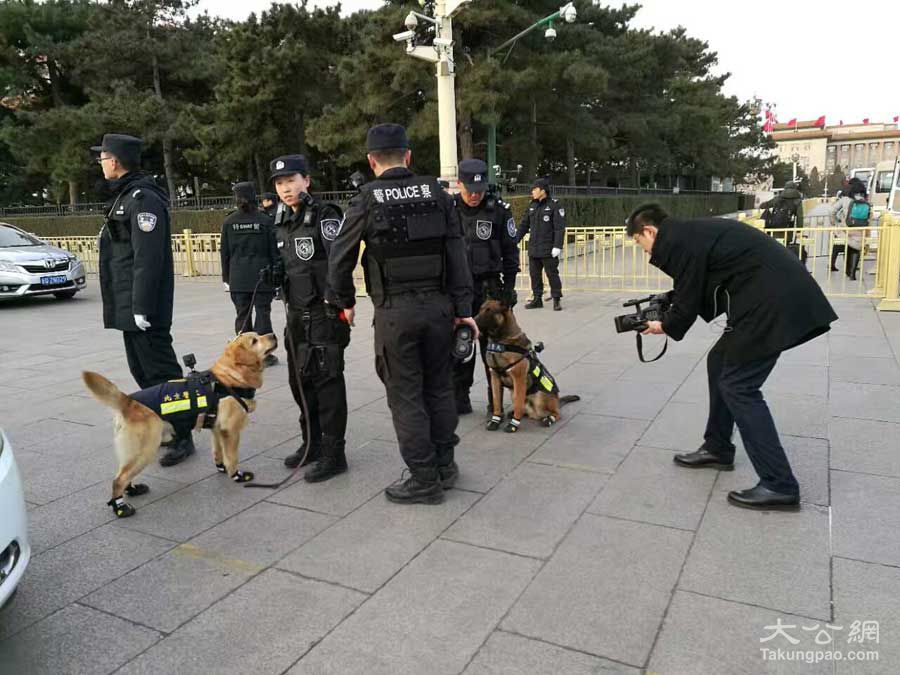 图集北京警犬助力两会安保